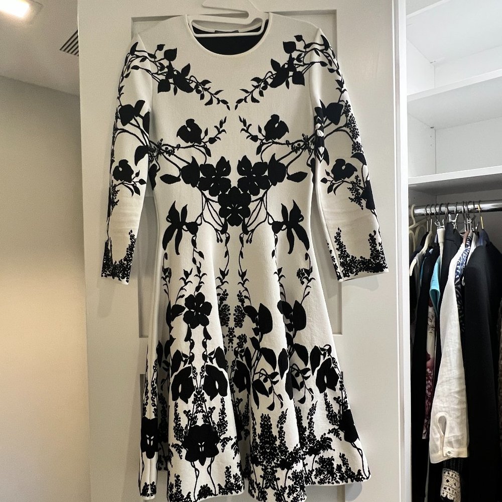 Alexander McQueen Dress